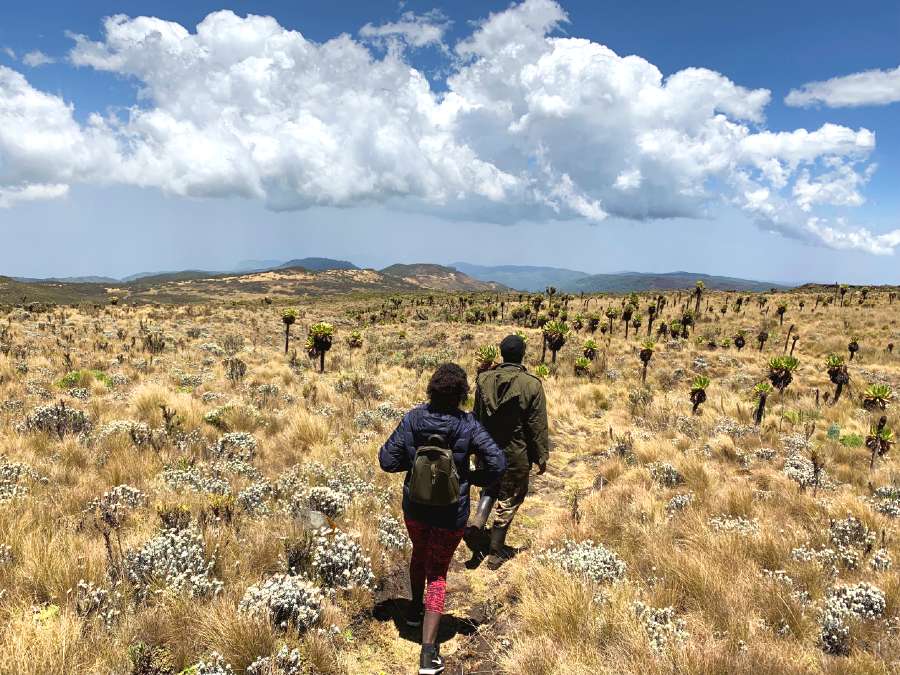 Uganda Safaris