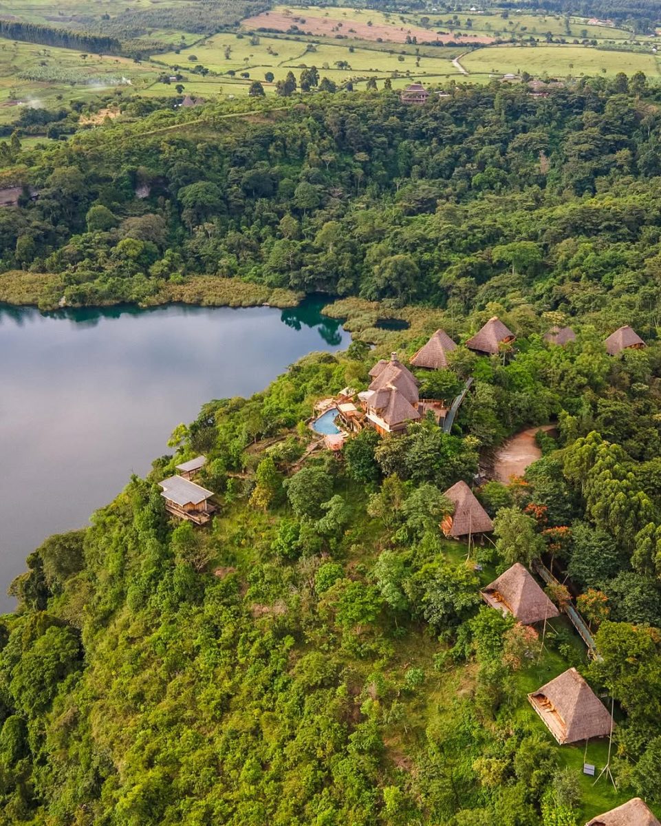 Kibale Forest National Park