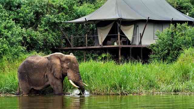 Honeymoon Safaris Tour