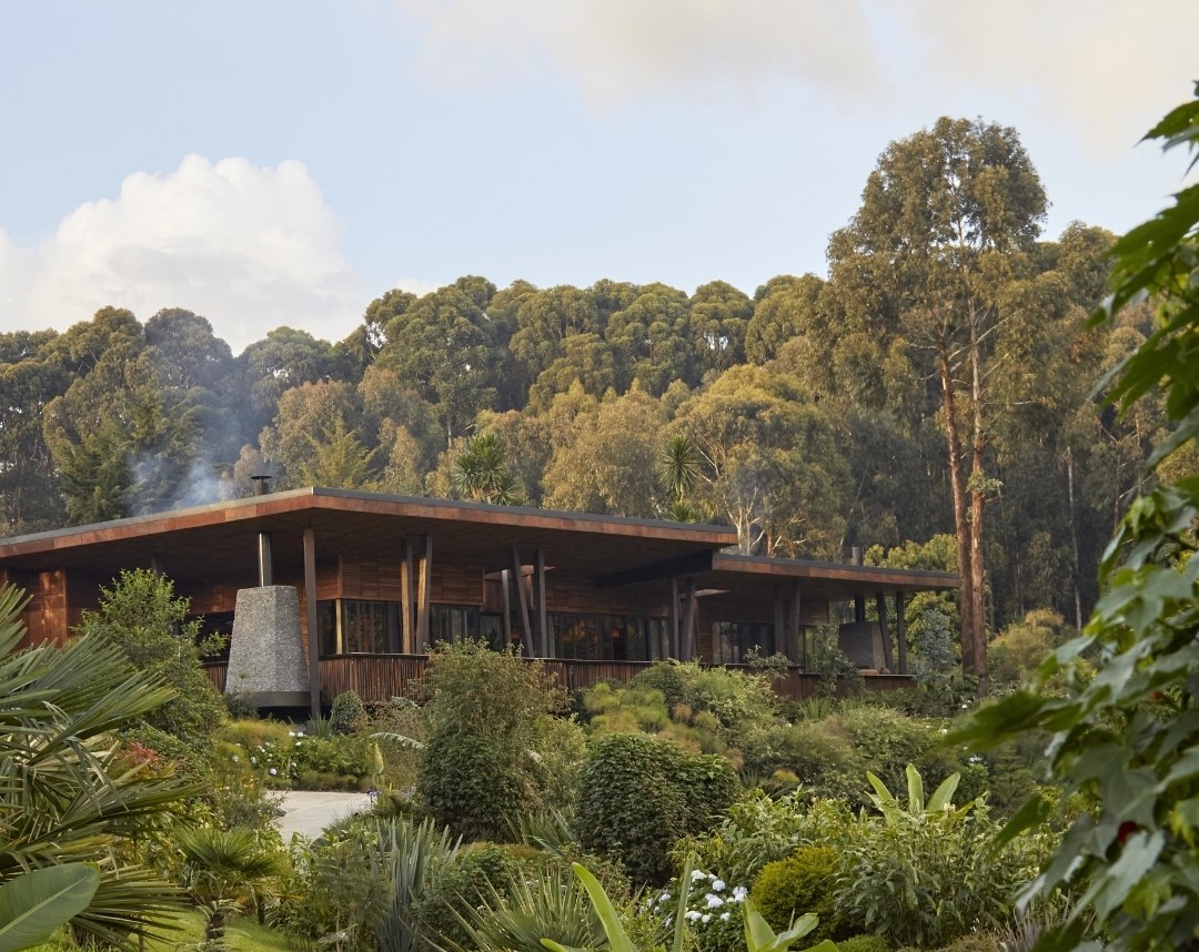 Honeymoon Safaris Tour