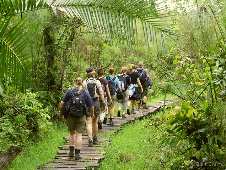 Uganda Safaris