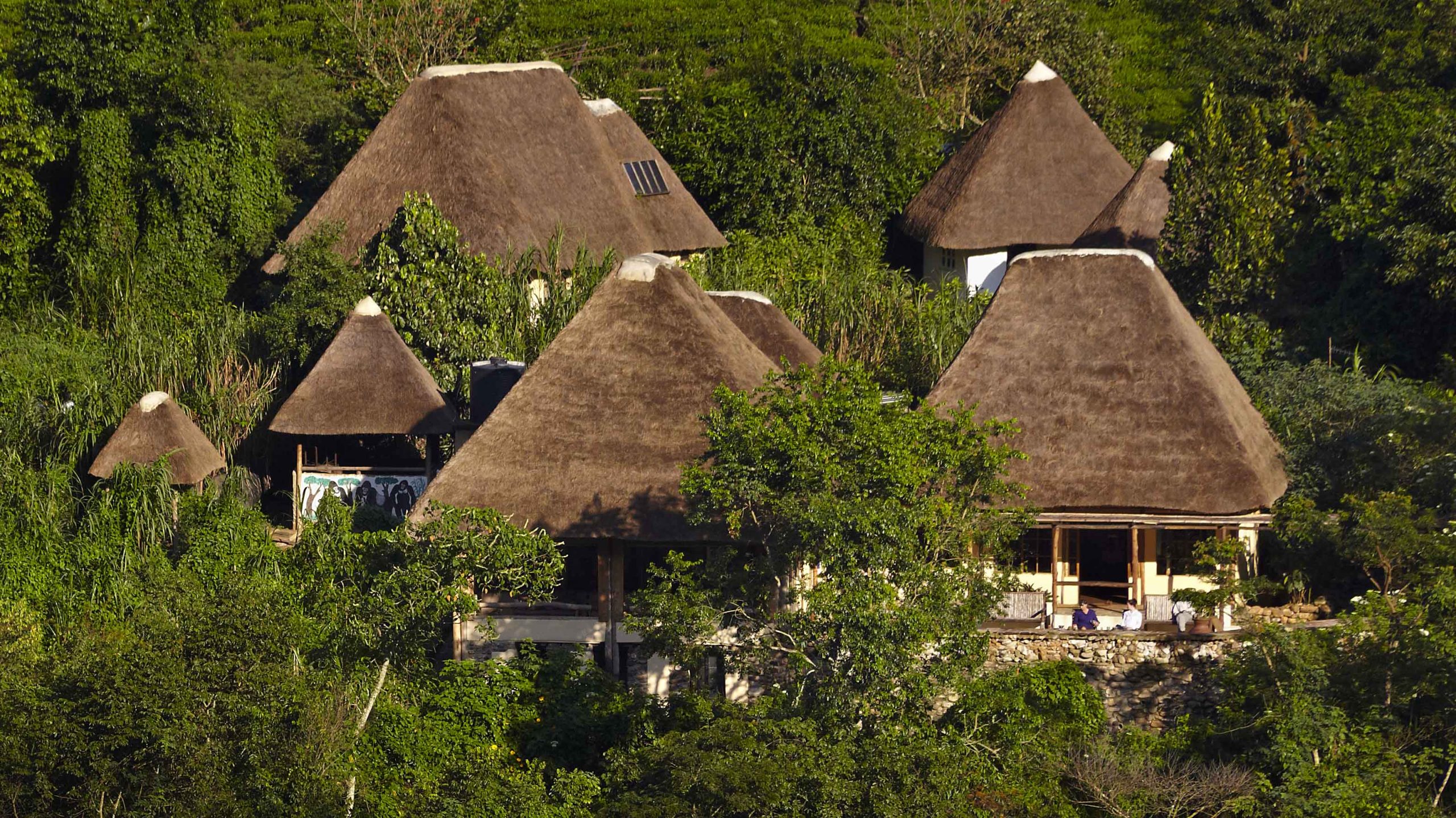 Bwindi Jungle Lodge