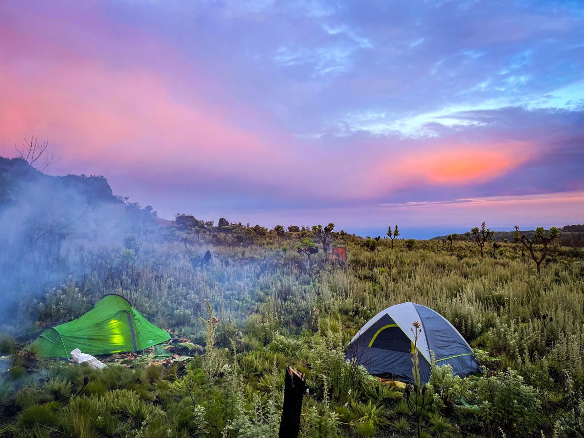 Camping on the island