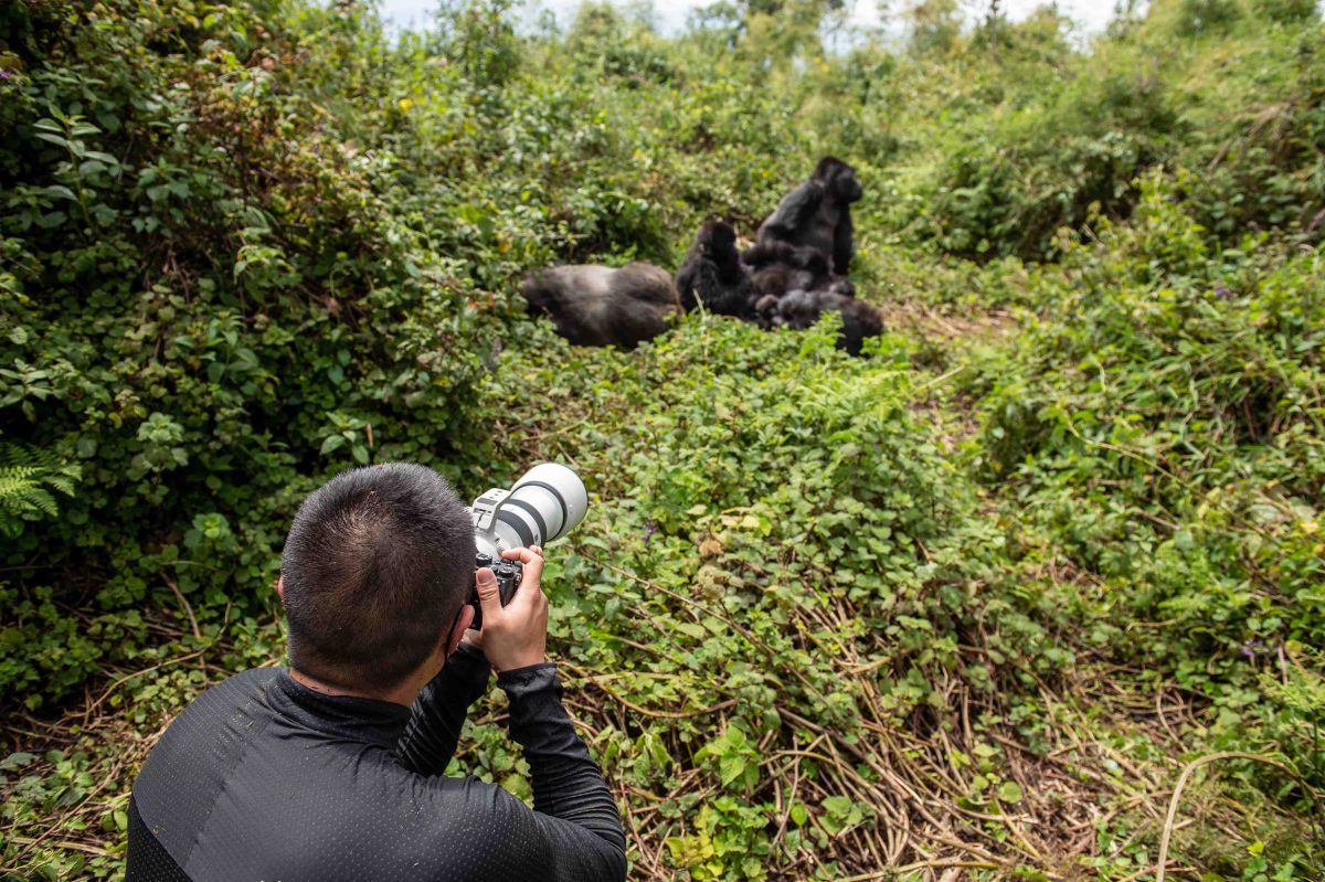 Rwanda Photography safaris