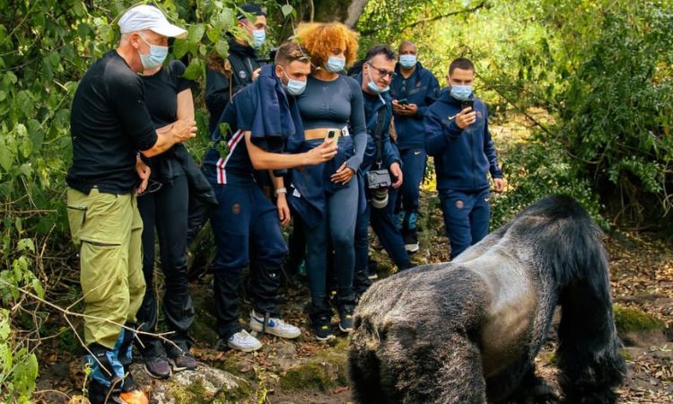 What age is recommended for Gorilla trekking?