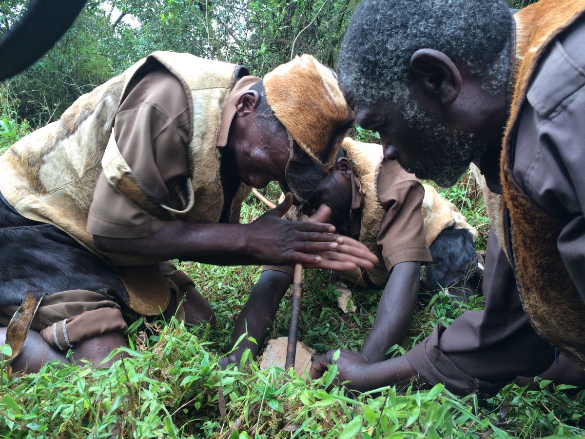 Experiencia Batwa en el bosque de Bwindi