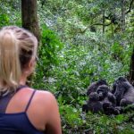 10-Day Uganda Safari Itinerary for First-Timers