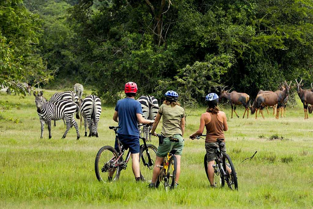 Cycling Safari in Lake Mburo National park