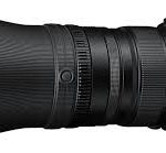 Best Lenses for Safari Photography