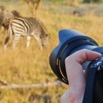 Uganda Photography Safari