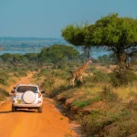How Much Does a Safari in Uganda Cost?