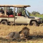 Fly-In vs Drive-In Safari in Uganda
