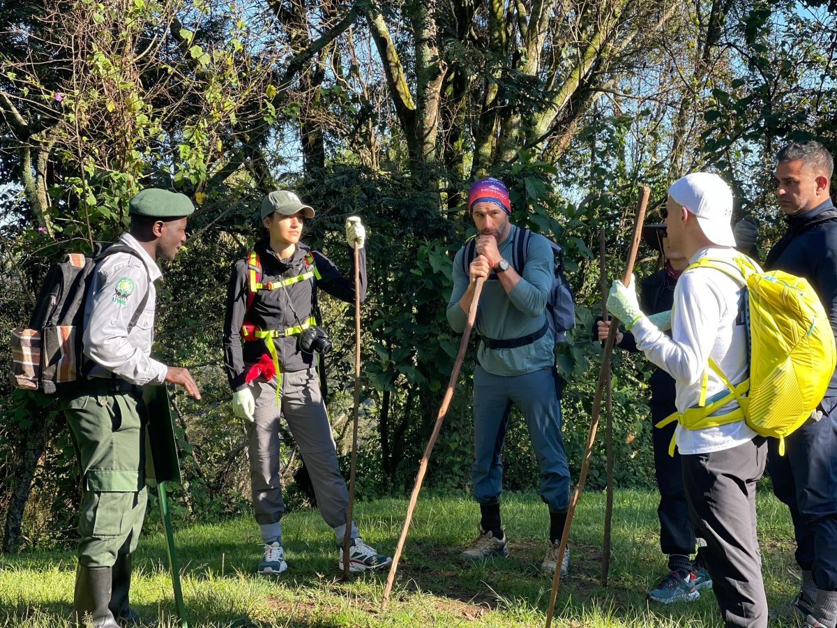 Uganda Safari Experience