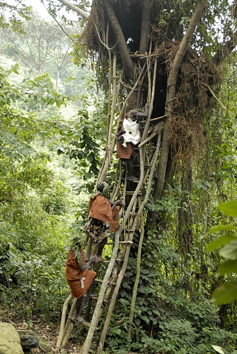 Why Visit Bwindi Impenetrable Forest