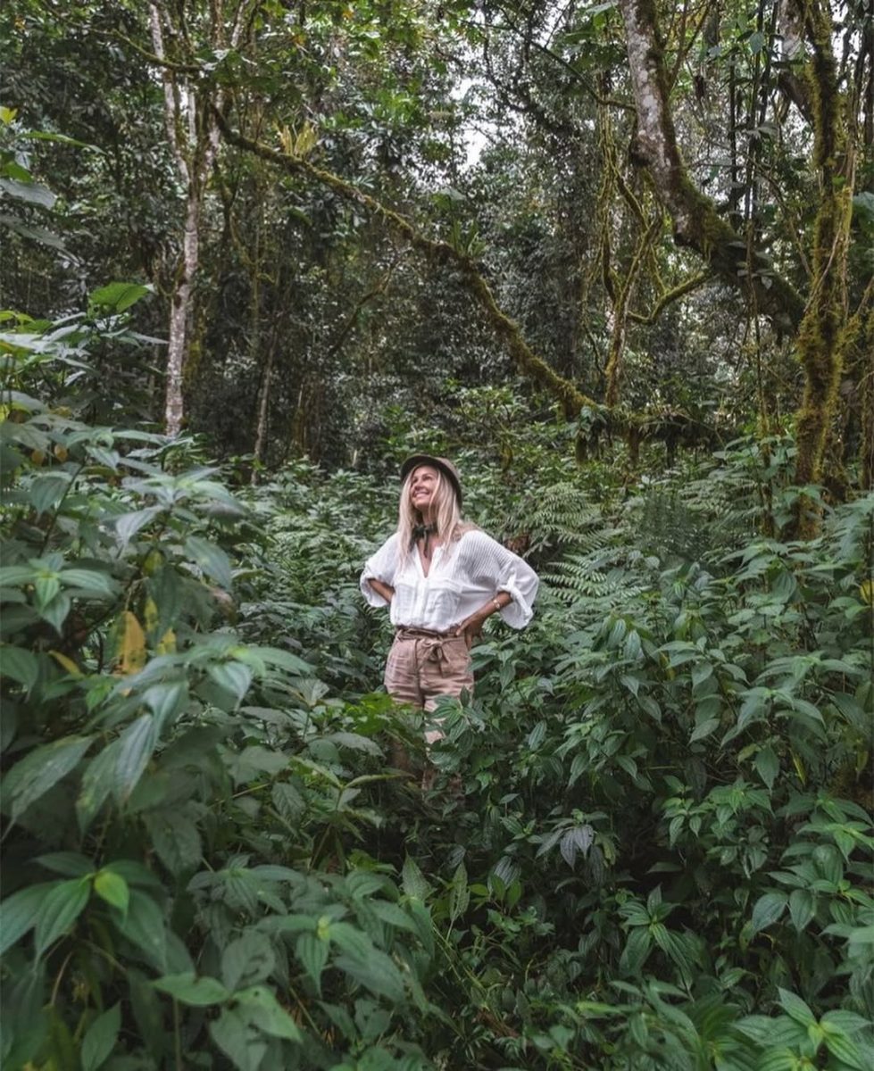 Why Visit Bwindi Impenetrable Forest
