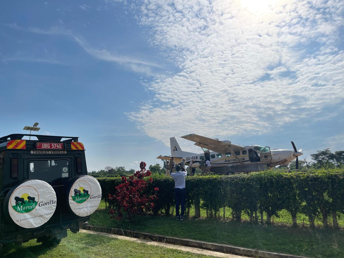 Fly-in gorilla trekking