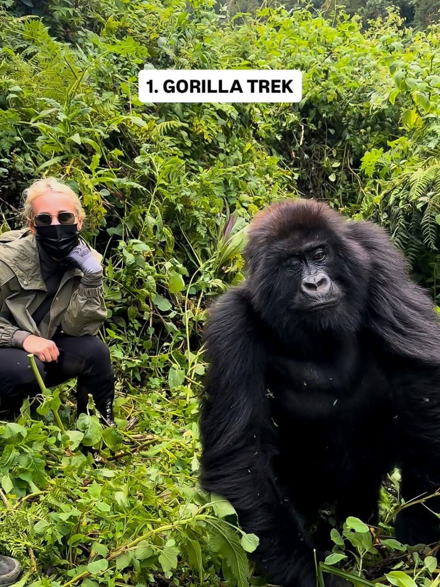 top Luxury Gorilla Trekking Lodges in Rwanda
