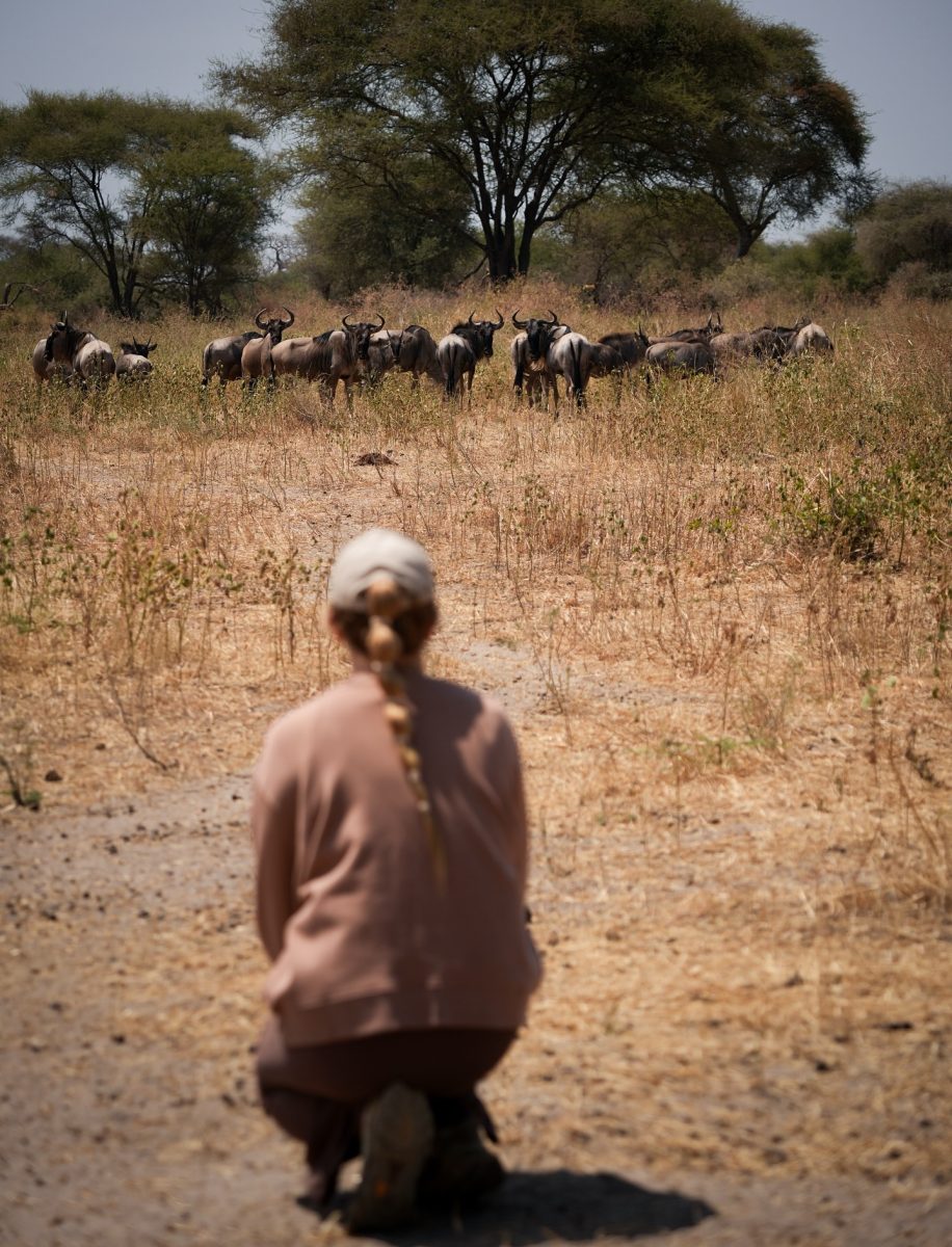 Tarangire National Park