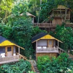 Where to stay in Bwindi for gorilla trekking