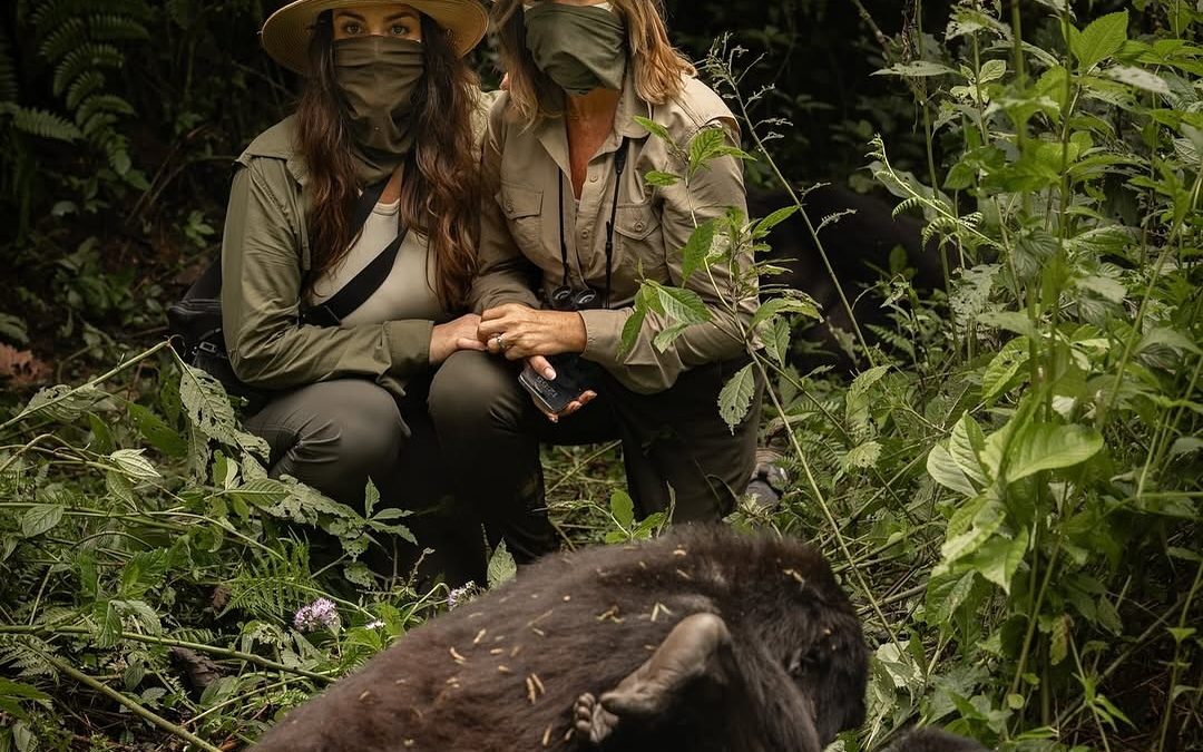 How fit do you need to be for gorilla trekking?