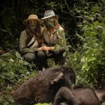 How fit do you need to be for gorilla trekking?