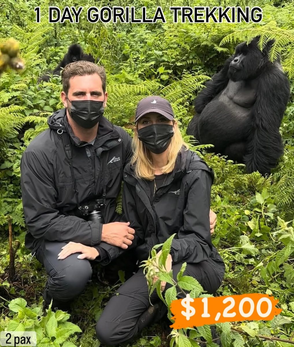 Group Gorilla Trekking