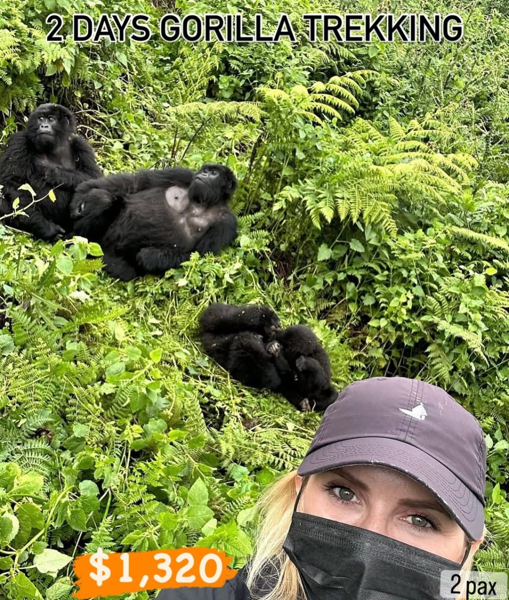Group Gorilla Trekking Tour