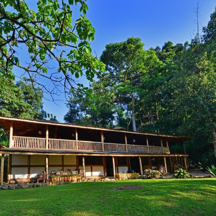 Bwindi lodge restaurant