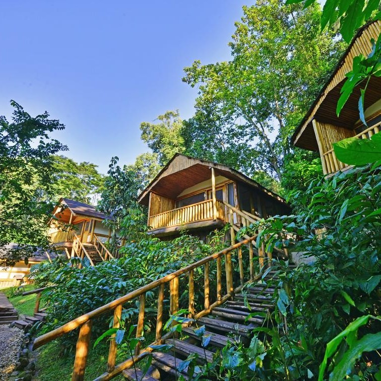 Bwindi lodge view from balcony