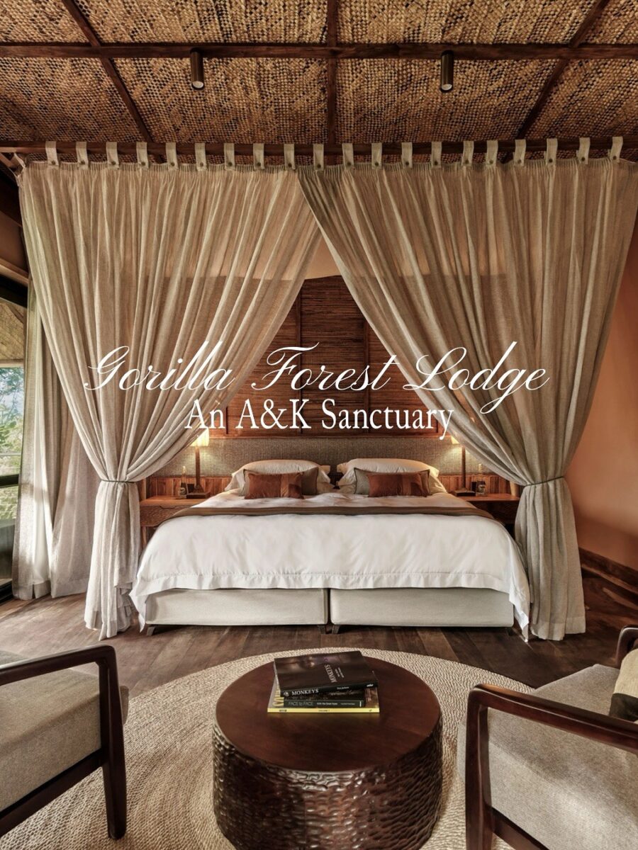 Best Places to Stay in Bwindi for Gorilla Trekking