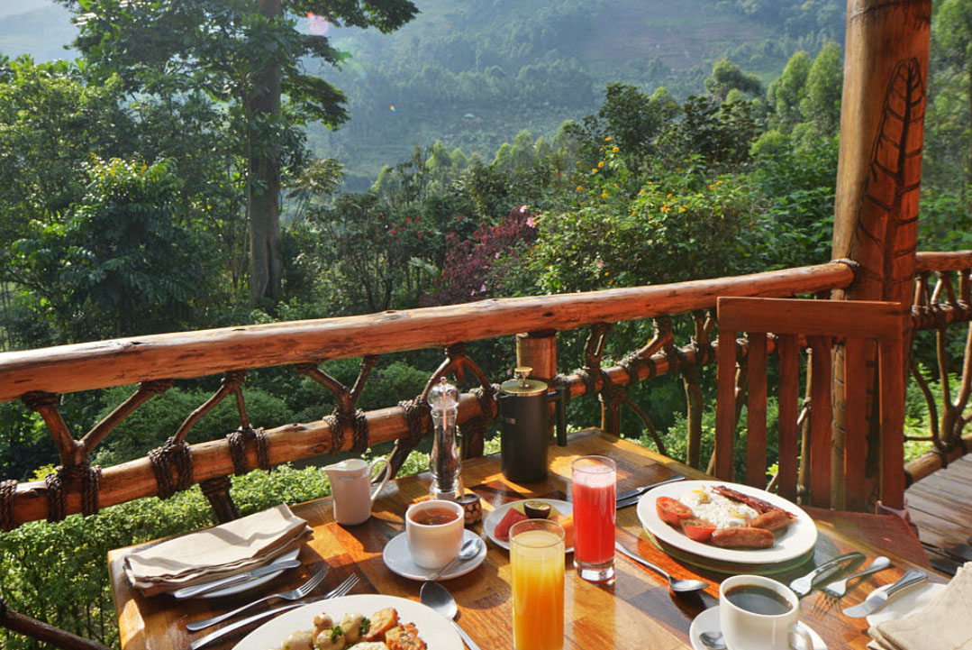 Best Base for Gorilla Trekking