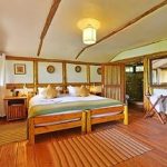 Best Places to Stay in Bwindi for Gorilla Trekking