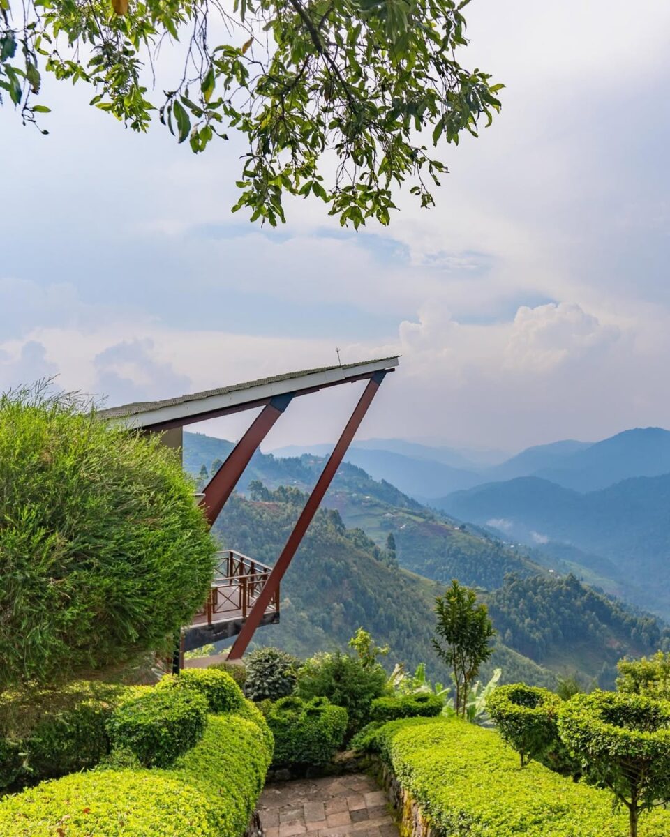 breathtaking views at gorilla heights lodge