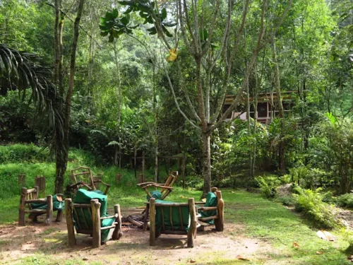 Nshongi Camp