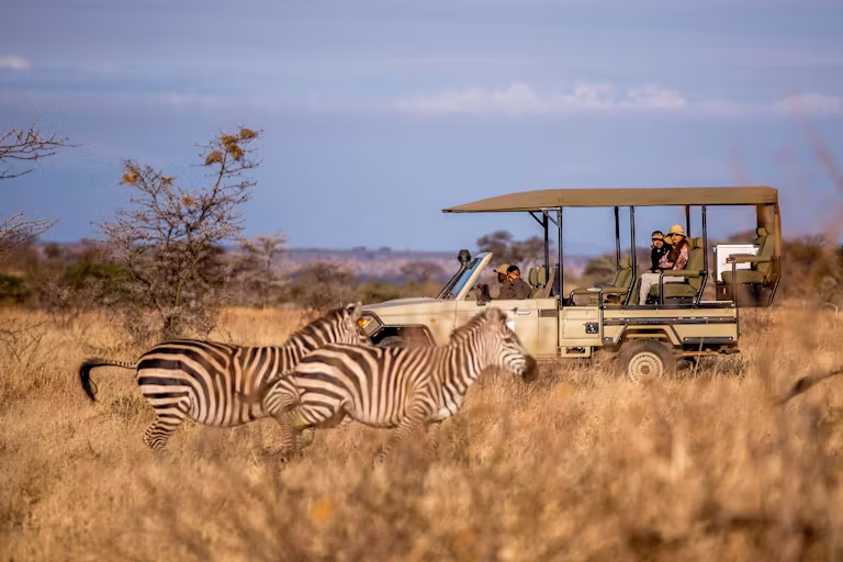 Zebras In Tarangire National Park, Tanzania