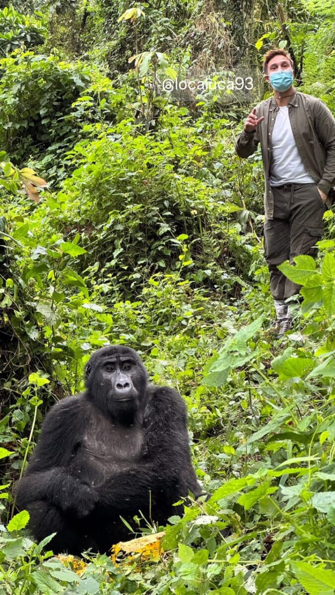 Uganda Gorilla Trekking Price