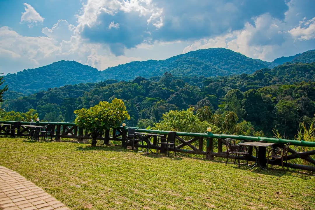 Rushaga Gorilla Lodge