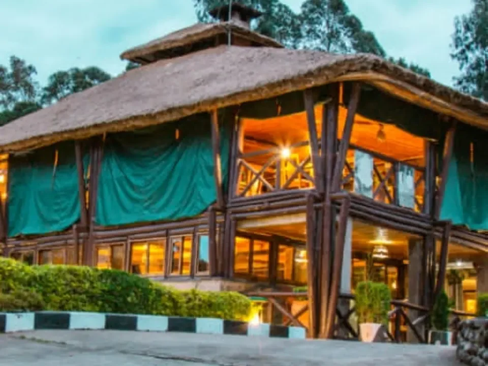 Da Vinci Gorilla Lodge