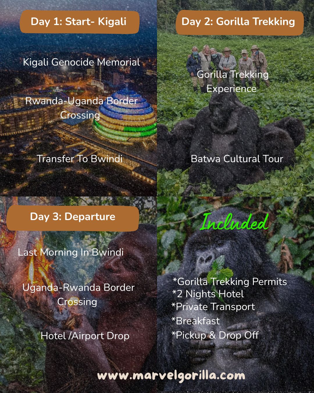 Detailed 3 Days Gorilla Trek Offer