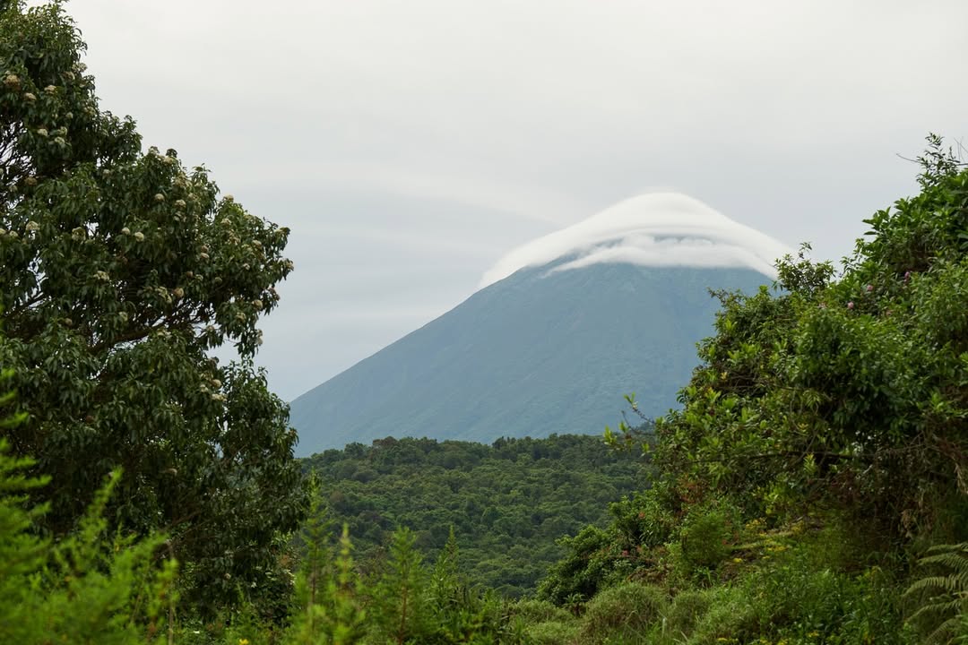 Mount Gahinga Lodge