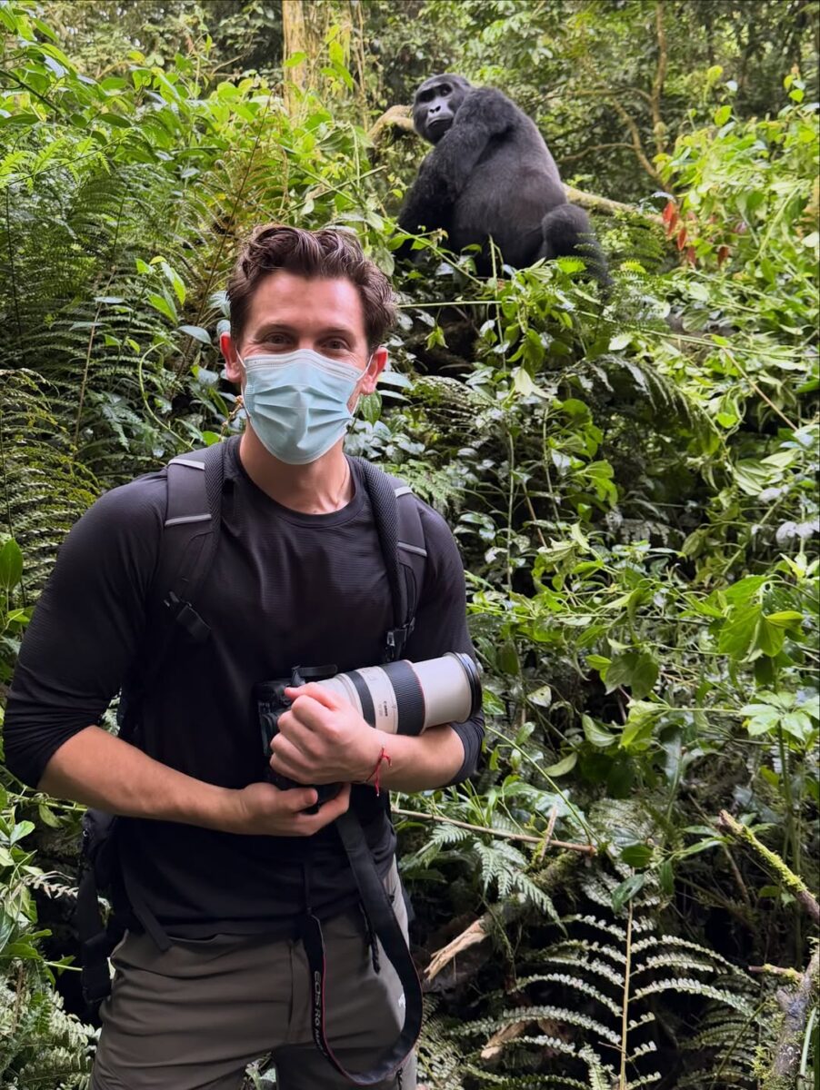 Bwindi Gorilla Trekking via Rwanda